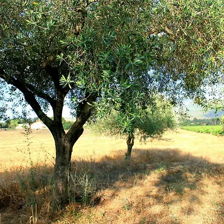 Da Pina Feriegård Porto Conte