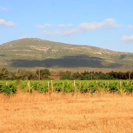 Agroturismo Da Pina *