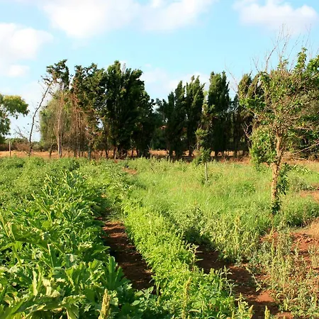 Farm stay Da Pina Porto Conte