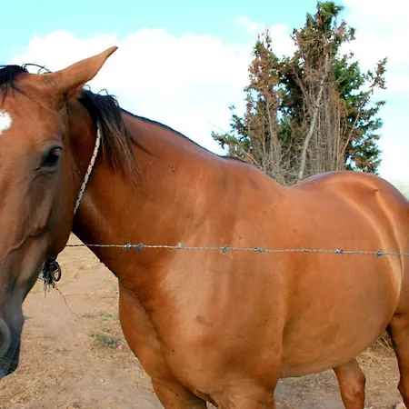 Da Pina * Porto Conte