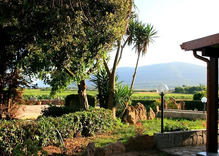 Da Pina مزرعة للإقامة