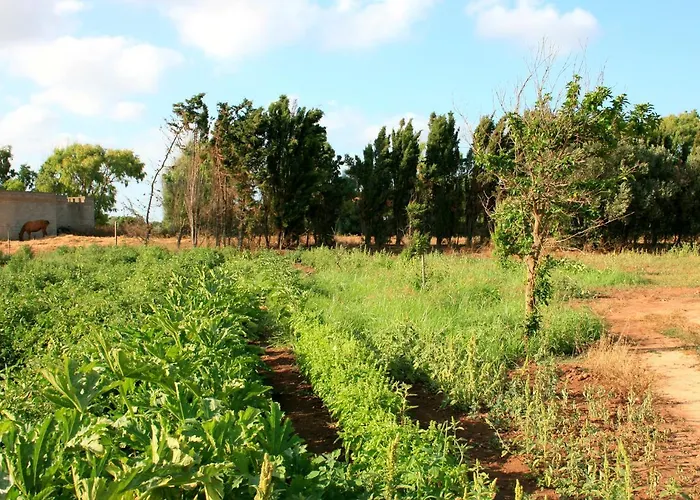 مزرعة للإقامة Da Pina بورتو كونتي